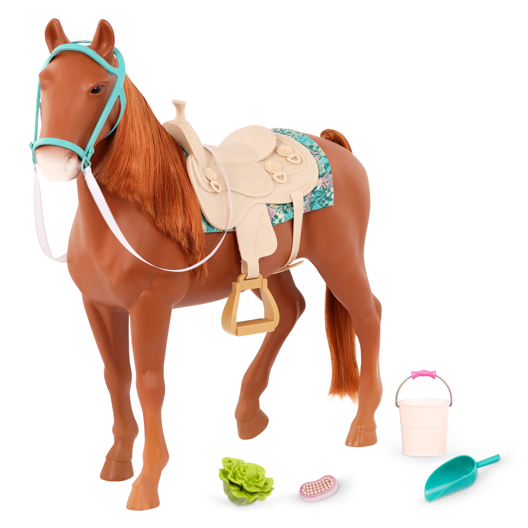 American Saddlebred Horse