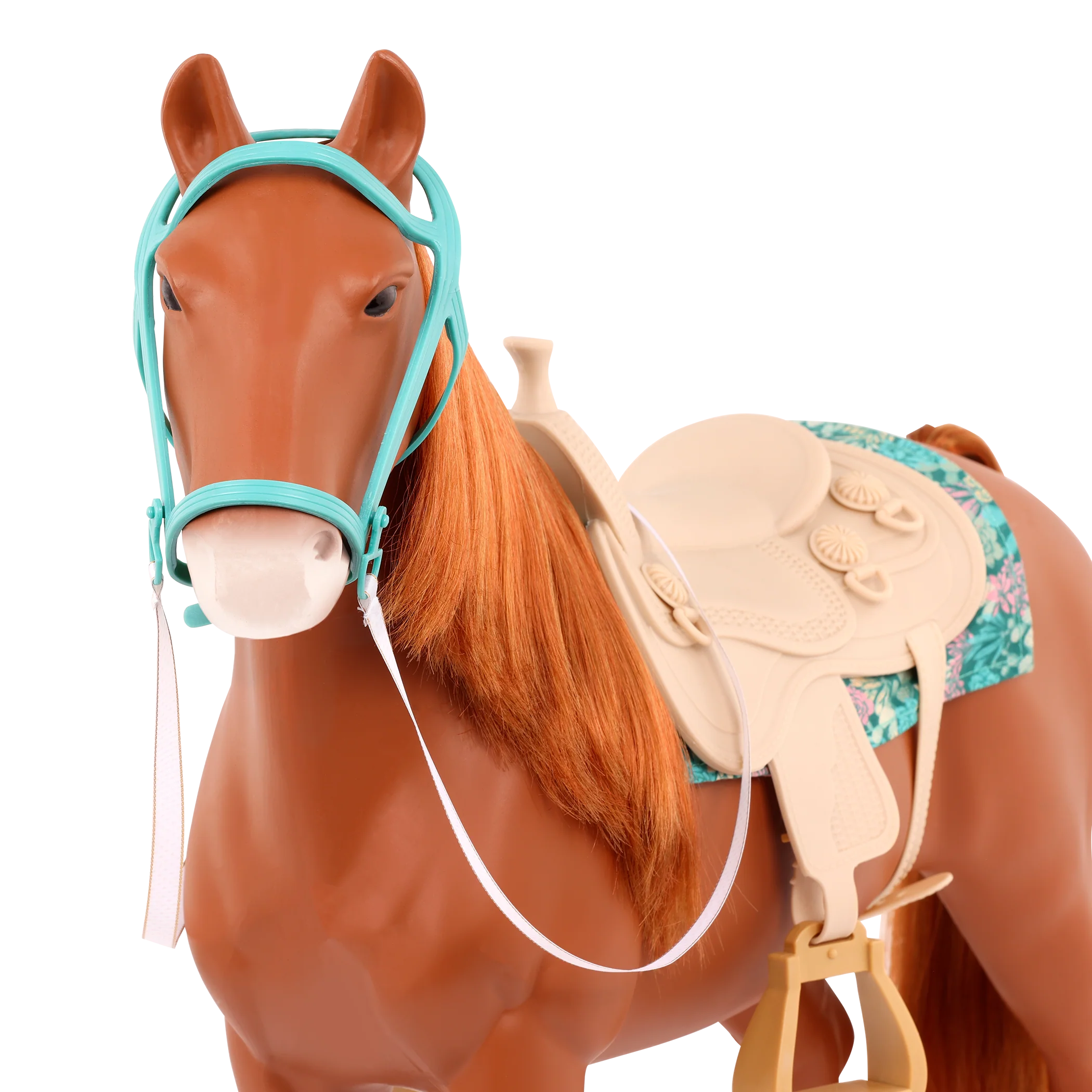 American Saddlebred Horse - Image 5