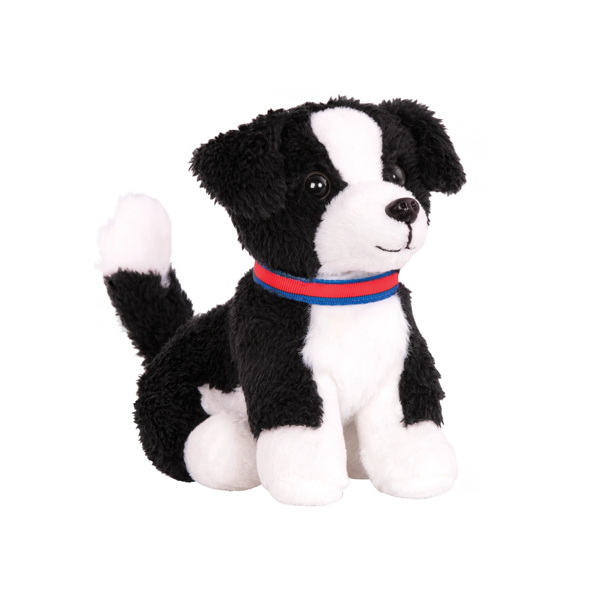 Border Collie Pup - Image 2