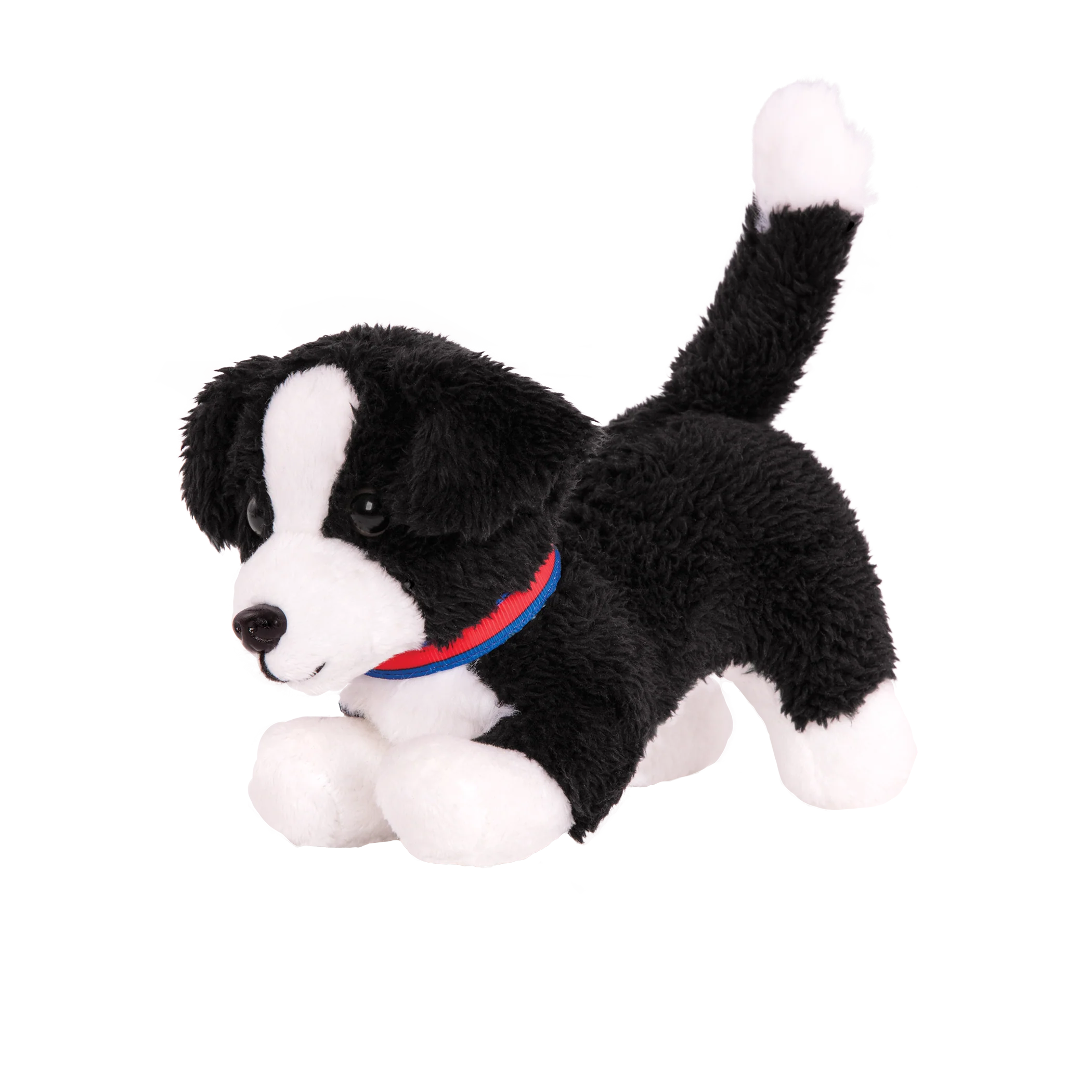 Border Collie Pup - Image 3