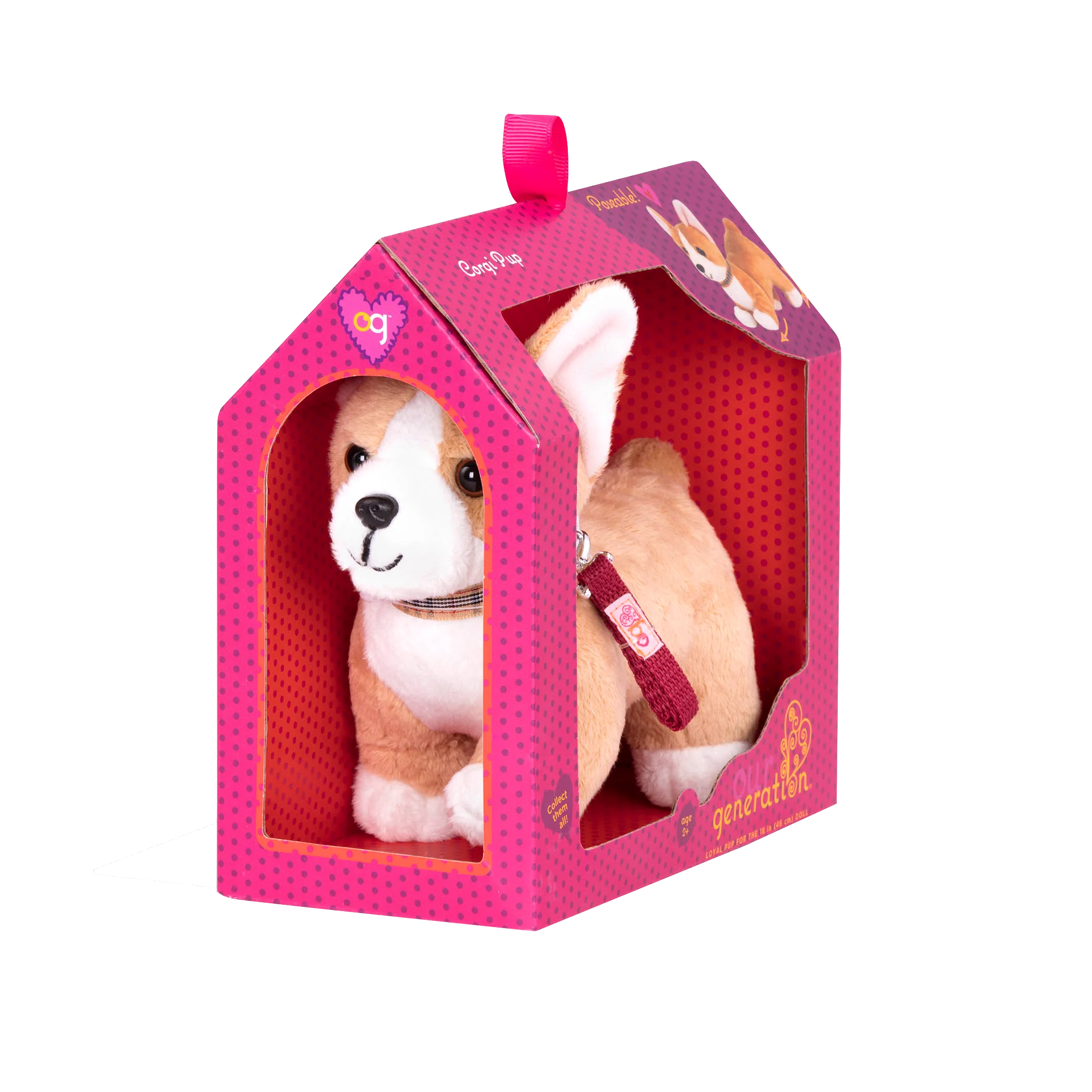 Corgi Pup - Image 4