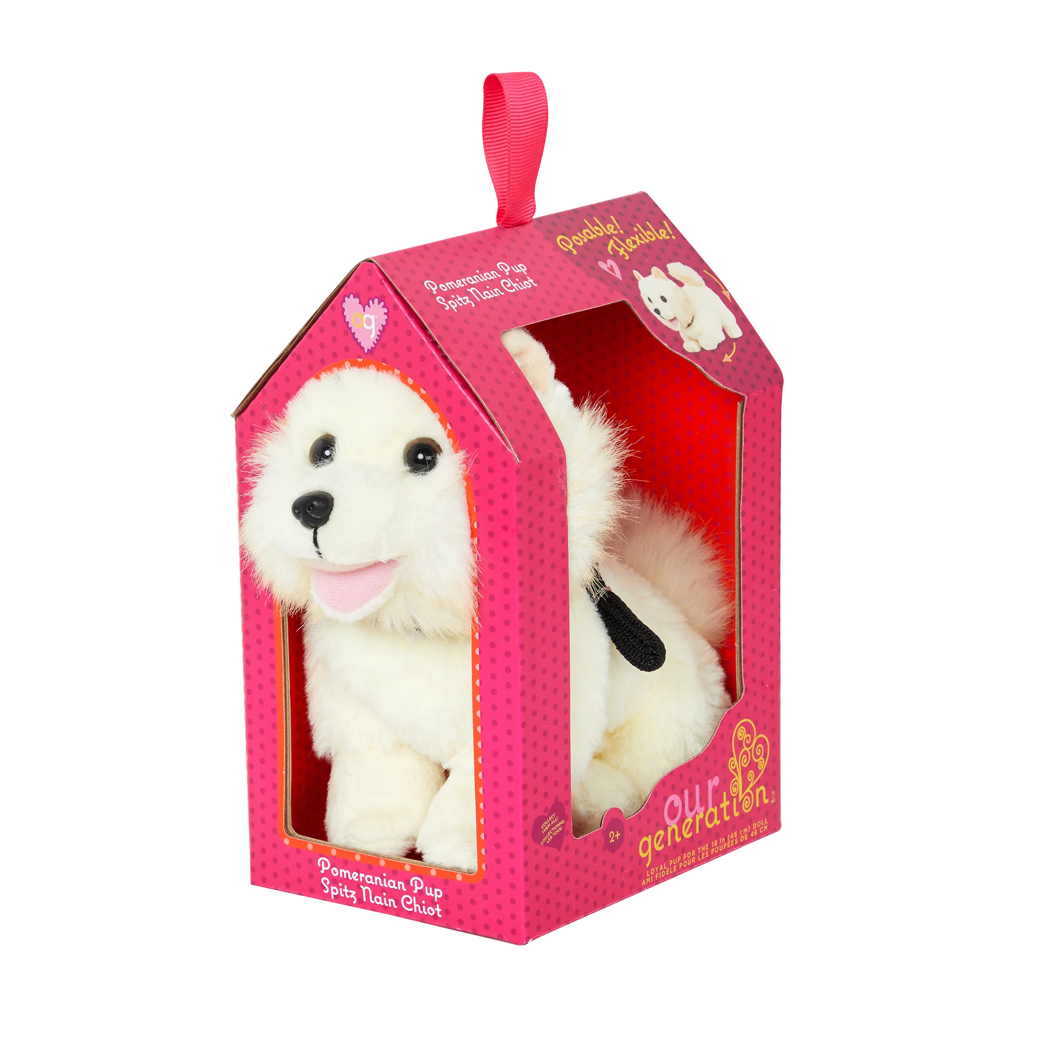 Pomeranian Pup - Image 4