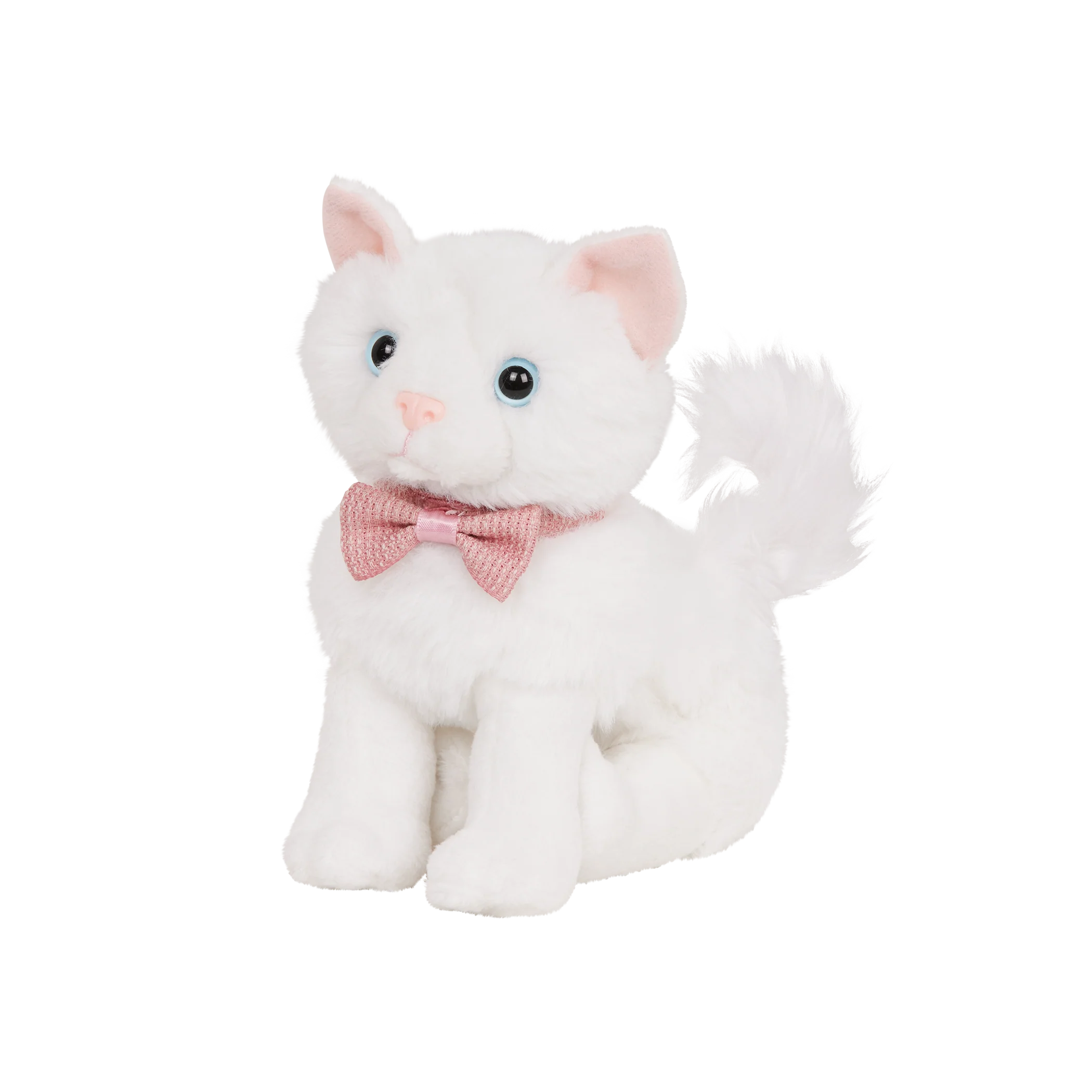 Turkish Angora Kitten - Image 4