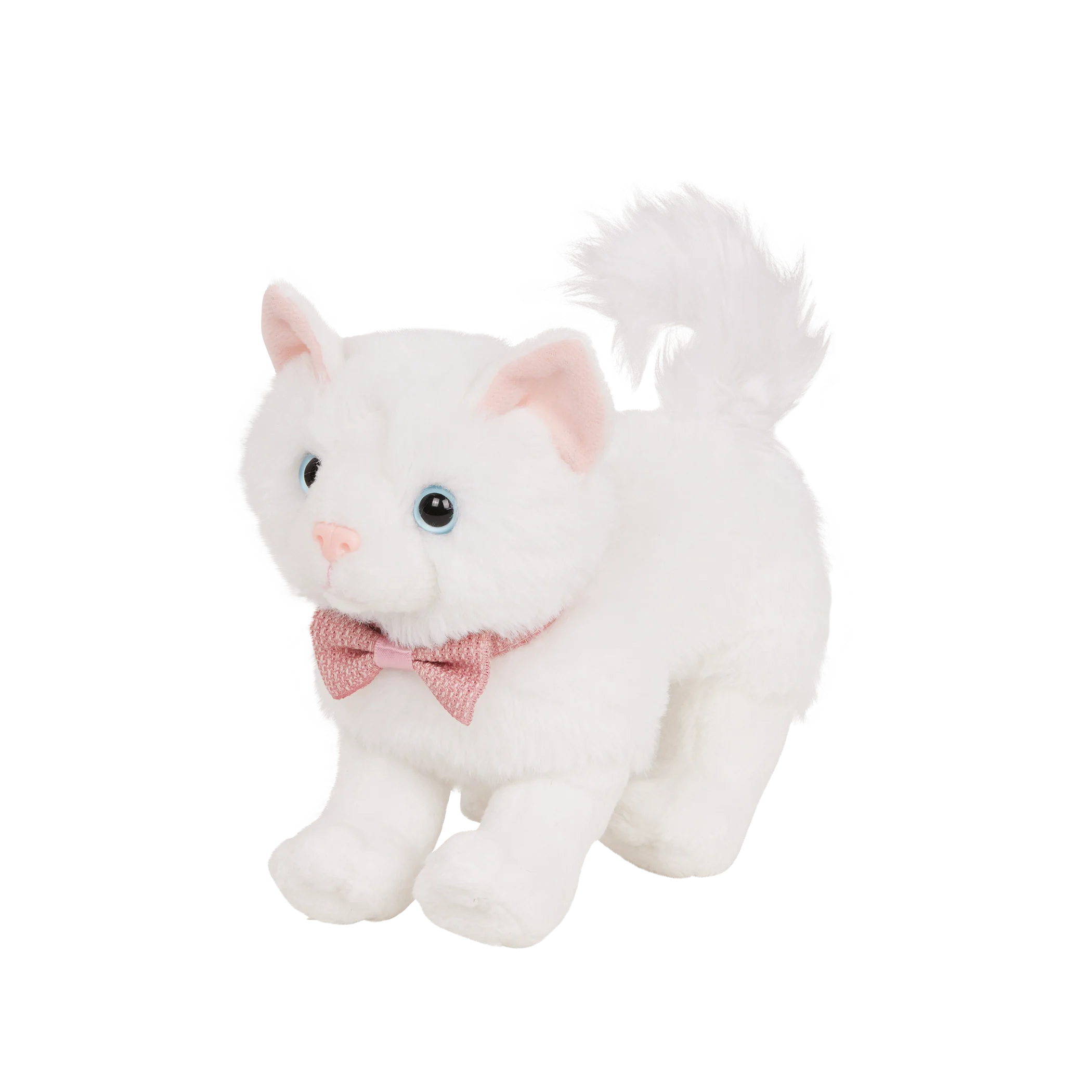 Turkish Angora Kitten - Image 7